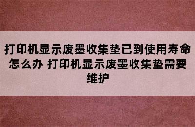 打印机显示废墨收集垫已到使用寿命怎么办 打印机显示废墨收集垫需要维护